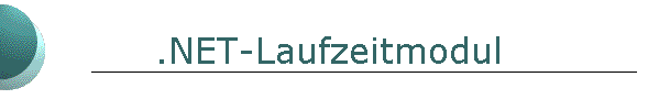 .NET-Laufzeitmodul